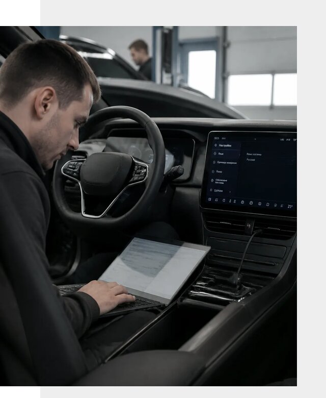 Русификация автомобилей BYD под ключ для всех моделей в Лангепасе